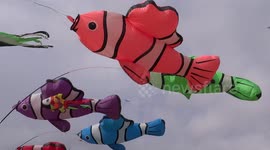 Colourful kite festival delights St Petersburg residents