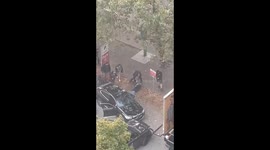 Vancouver - Drug Dealer - Dog Attack - Part 1