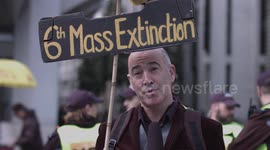 Extinction Rebellion activists protest in London