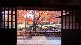 Autumn Beauty Of A Japanese Garden: Otaguro Park, Tokyo Japan