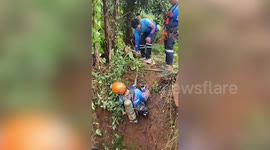 Thai rescuers save stray dogs trapped in 100ft deep abandoned well