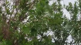 Bermuda: Hurricane Paulette Pummels British Territory, Eye Directly Passes Over Islands 3