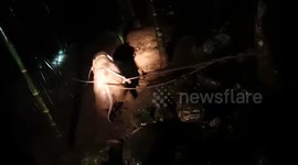 Longer Version_Elephant calf rescued after being swept away in flash flood in southern India