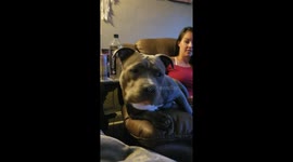 Don't touch my mom!