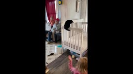 Adorable kitten plays with tail while balancing