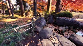 Autumn Beauty Of A Japanese Garden: Otaguro Park, Tokyo Japan