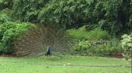 President’s House. India