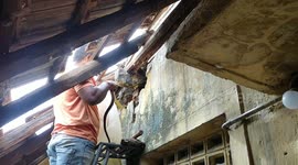 After a long struggle a rat snake that was hiding in the roof top was captured in Southern India