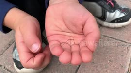 Canadian family shocked after spider leg continues to move after being detached from body
