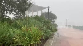 Pensacola Maritime Park during Hurricane Sally