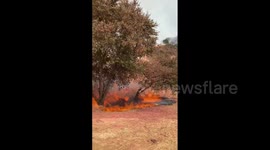 US: Bobcat Fire Grows To Over 41,000 Acres In Angeles National Forest, California 4