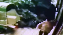 Elderly Chinese woman narrowly avoids being hit by falling tree