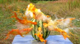 Elephant toothpaste erupts from a watermelon in this YouTuber's experiment