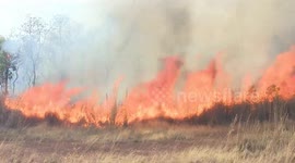 Firefighters battle to control Amazon wildfires as police investigation launched
