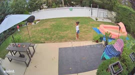 Security cam captures funny moment girl walks backward into swimming pool
