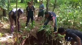 Lost pet dog rescued after spending four days trapped in abandoned well in Thailand