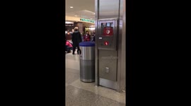 Girl Surprised By Her Grandma And Grandpa By Bring Her Dog At The Airport