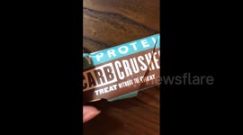 Japan: Tiny White Insects Found Crawling All Over Myprotein Products