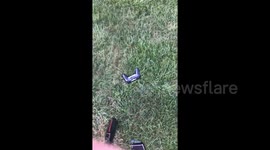 PlayStation Rage