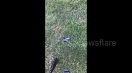Extremely frustrated video gamer takes a bat to his PlayStation 4 controller