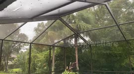 Intence wind and rain brought to Destin, Florida by Hurricane Sally