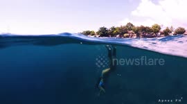 Woman freedives through magical bubble rings off Philippines coast