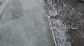 Aerial footage of lone swan wandering on top of frozen river in Ontario