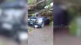 Malaysia storm uproots trees and topples billboards amid extensive damage