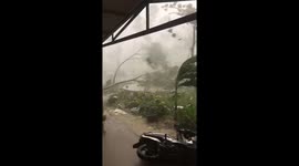 The moment of strong winds from Typhoon Noul