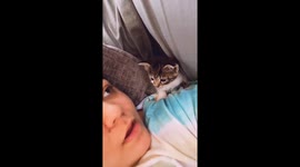 Woman sings a lullaby to the kitten