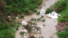 A dog became anxious when its usual route got filled with rainwater. See how it crosses to get to its destination.