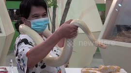 Thai shoppers hold snakes at exotic pet show