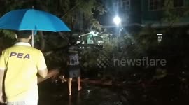 Typhoon Noul blows tree onto car in Thailand