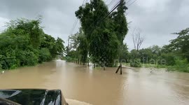 Rescue teams wade through floodwater to deliver relief supplies to those affected by Typhoon Noul