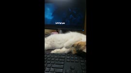Sofi Mummy Sleep While Movies On