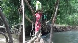 More than 3000 indigenous peoples depending on bamboo bridge in eastern India