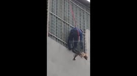 Indonesian firefighters rescue dog stranded on fourth floor ledge of residential building