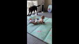 As thick as thieves! Seven-month-old baby and his puppy are the best of friends