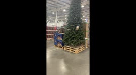 Christmas decorations have arrived at this Costco in London
