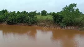 Herd of goats rescued in eastern India