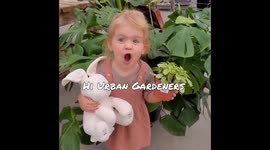 Green-fingered toddler enthusiastically explains how not to kill your houseplants