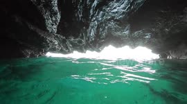 Snorkeling Sea Caves with curious seals