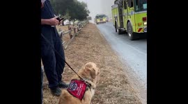 Kerith greeting fire fighters coming off the line at the Woodward Fire in Marin County, CA