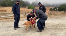 Kerith greeting fire fighters coming off the line at the Woodward Fire in Marin County, CA