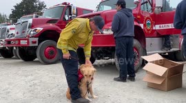 Kerith greeting fire fighters coming off the line at the Woodward Fire in Marin County, CA