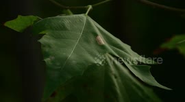 El otoño comienza en Madrid, España