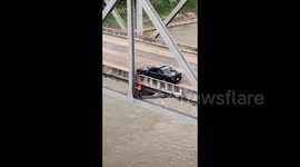 Stranded dog rescued off Louisiana bridge
