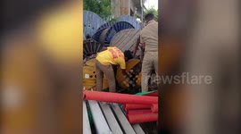Dog rescued after its head got stuck inside cable drum in southern India