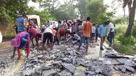 Residents scramble as truck carrying 50,000 eggs overturns in northern India