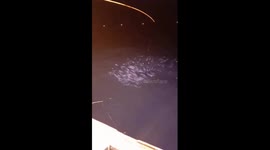 A school of fish dance around fishing boat in Vietnam